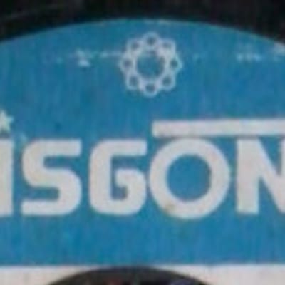Logo de Disgonza